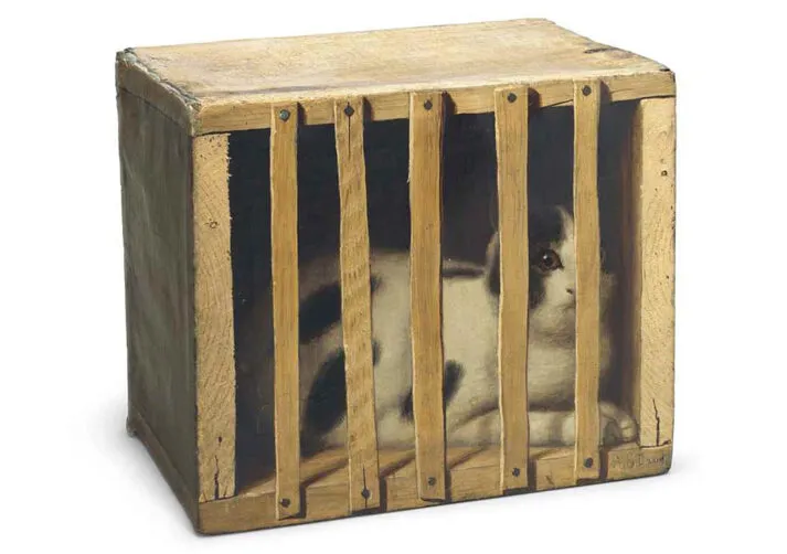 Wild Imagination_Cat in a Crate