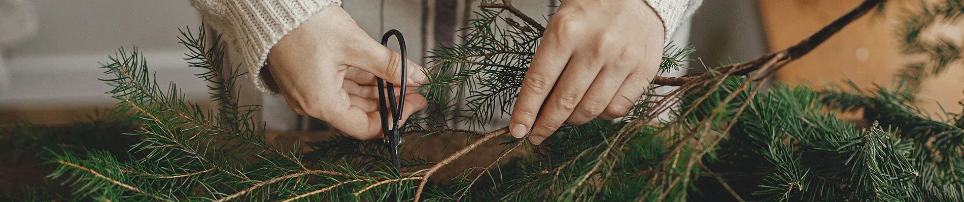 Making,Rustic,Christmas,Wreath.,Female,Hands,Cutting,Fir,Branches,With