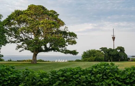 Marble House Tree Walk cover