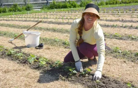 Prepping Your Flower Beds cover